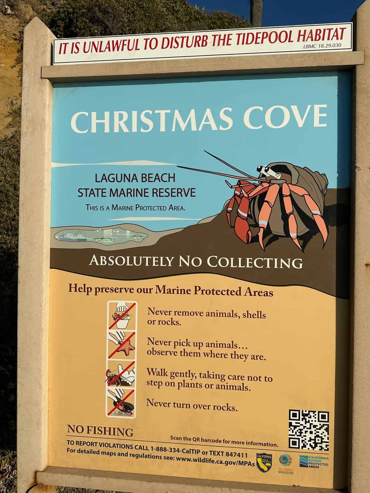 Christmas Cove sign