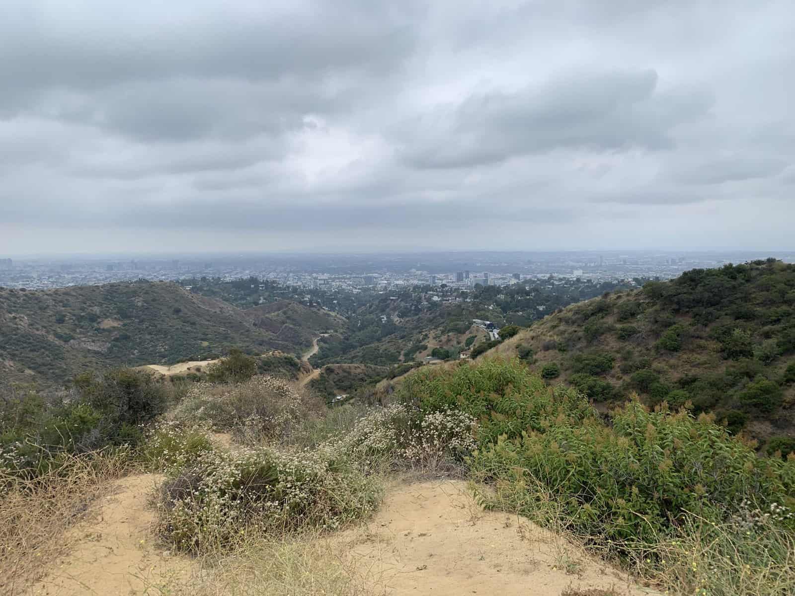 Holliwood sign trails