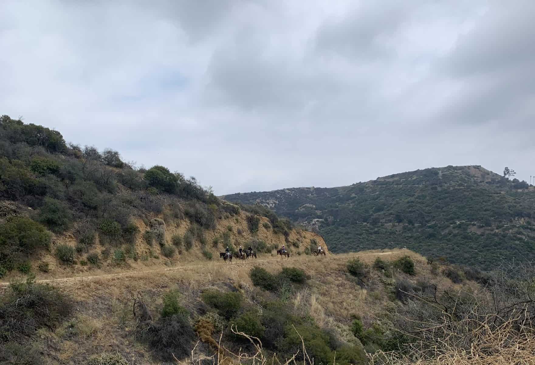 You can see horses on the trail to Hollywood sign