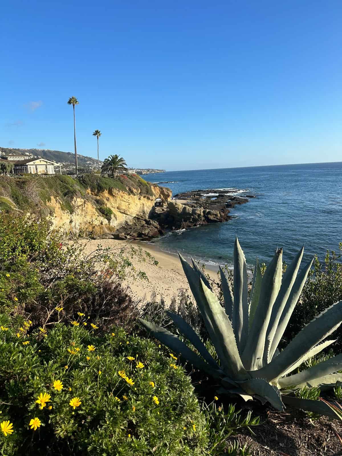 Middle Man Cove in Laguna