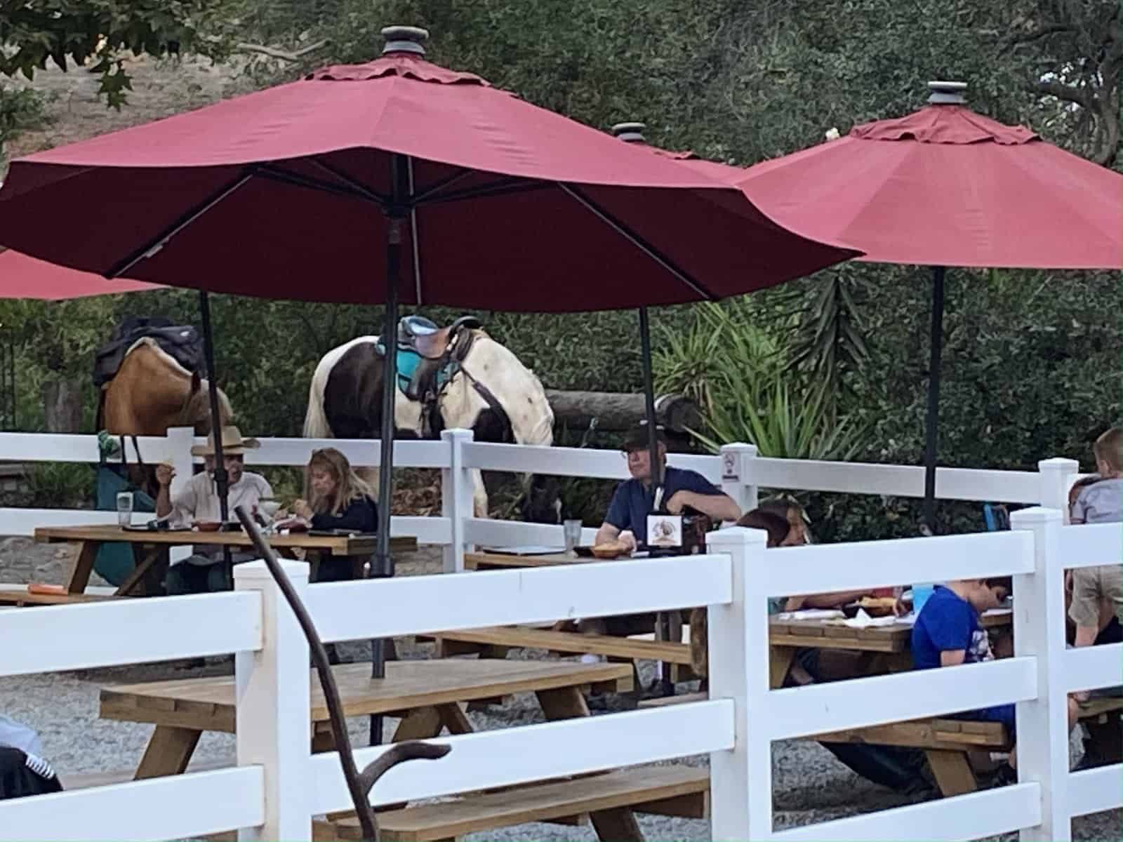 Rose Canyon Cantina lower area outside with picnic tables