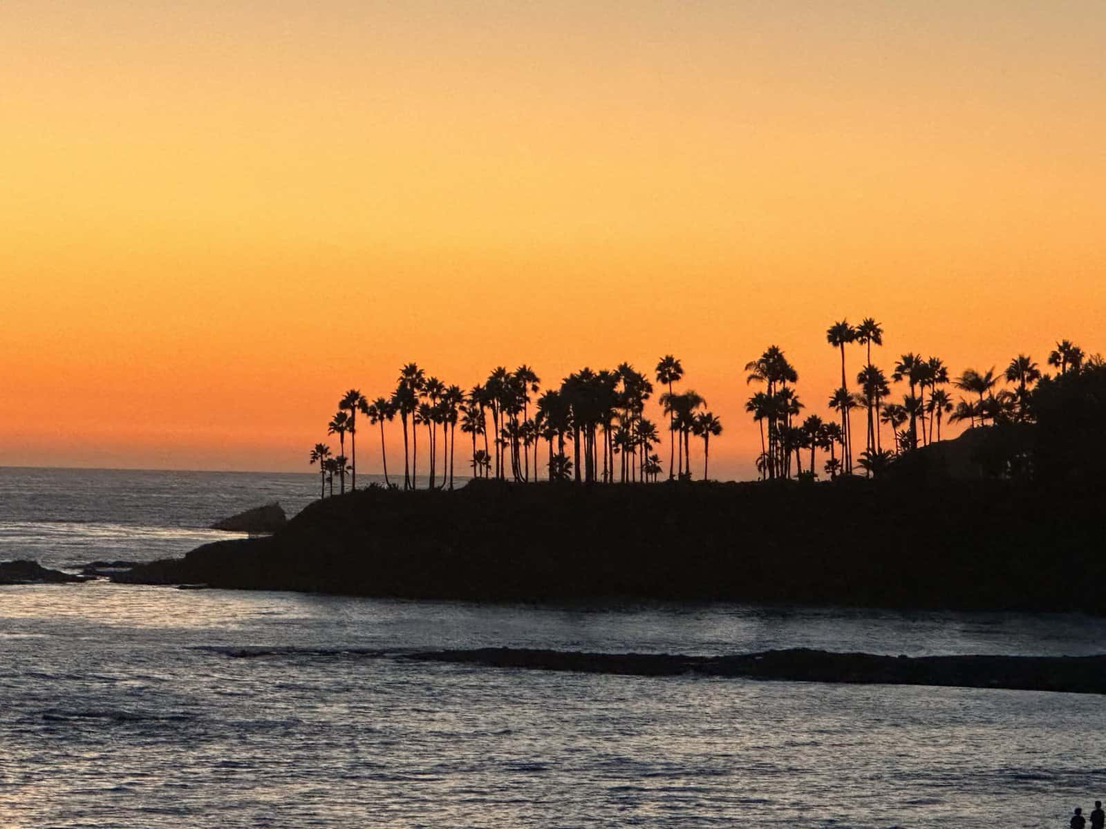 beautiful orange sunset in Laguna Bach with palm trees
