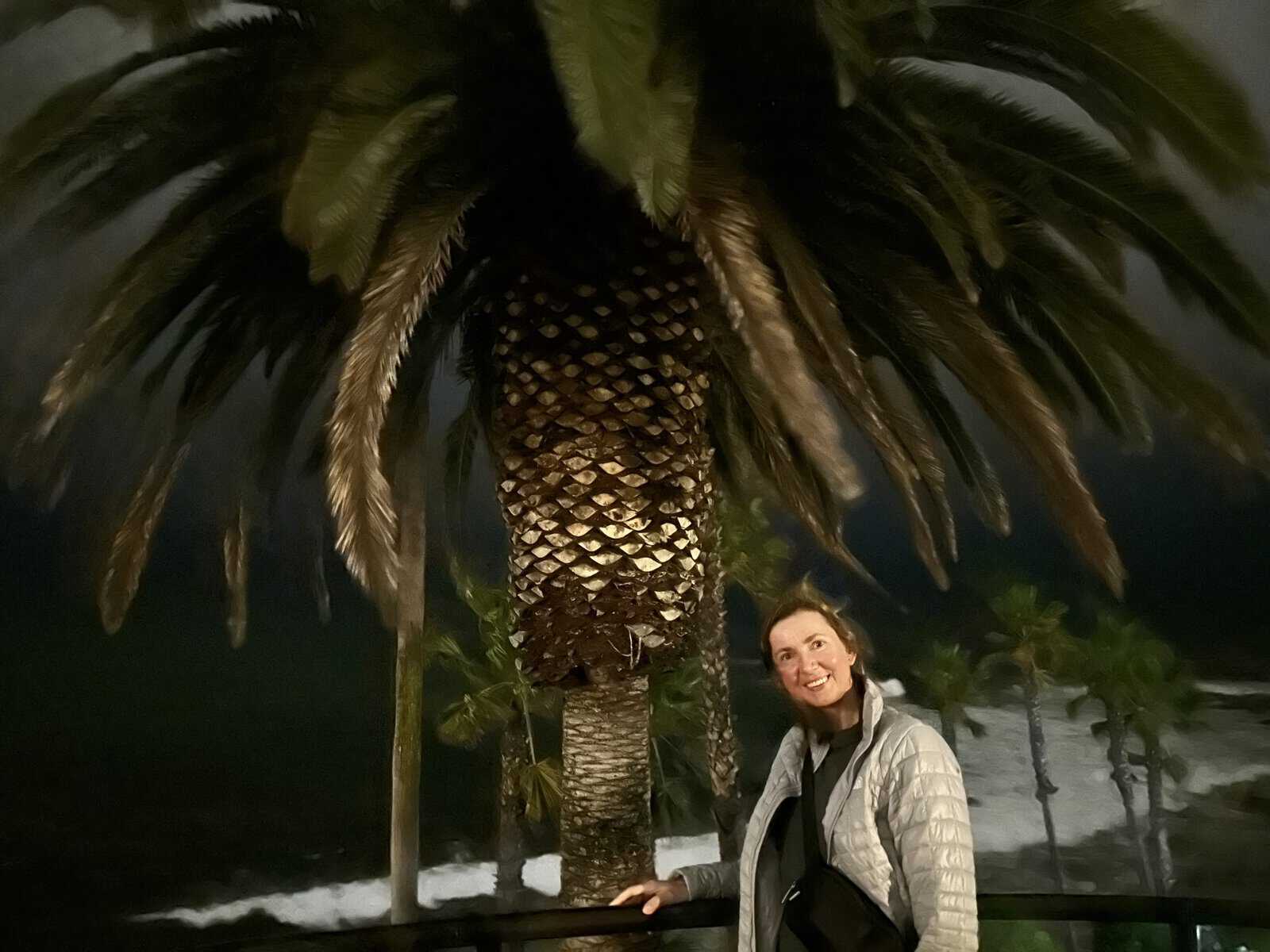 me under the palm tree at night at laguna beach