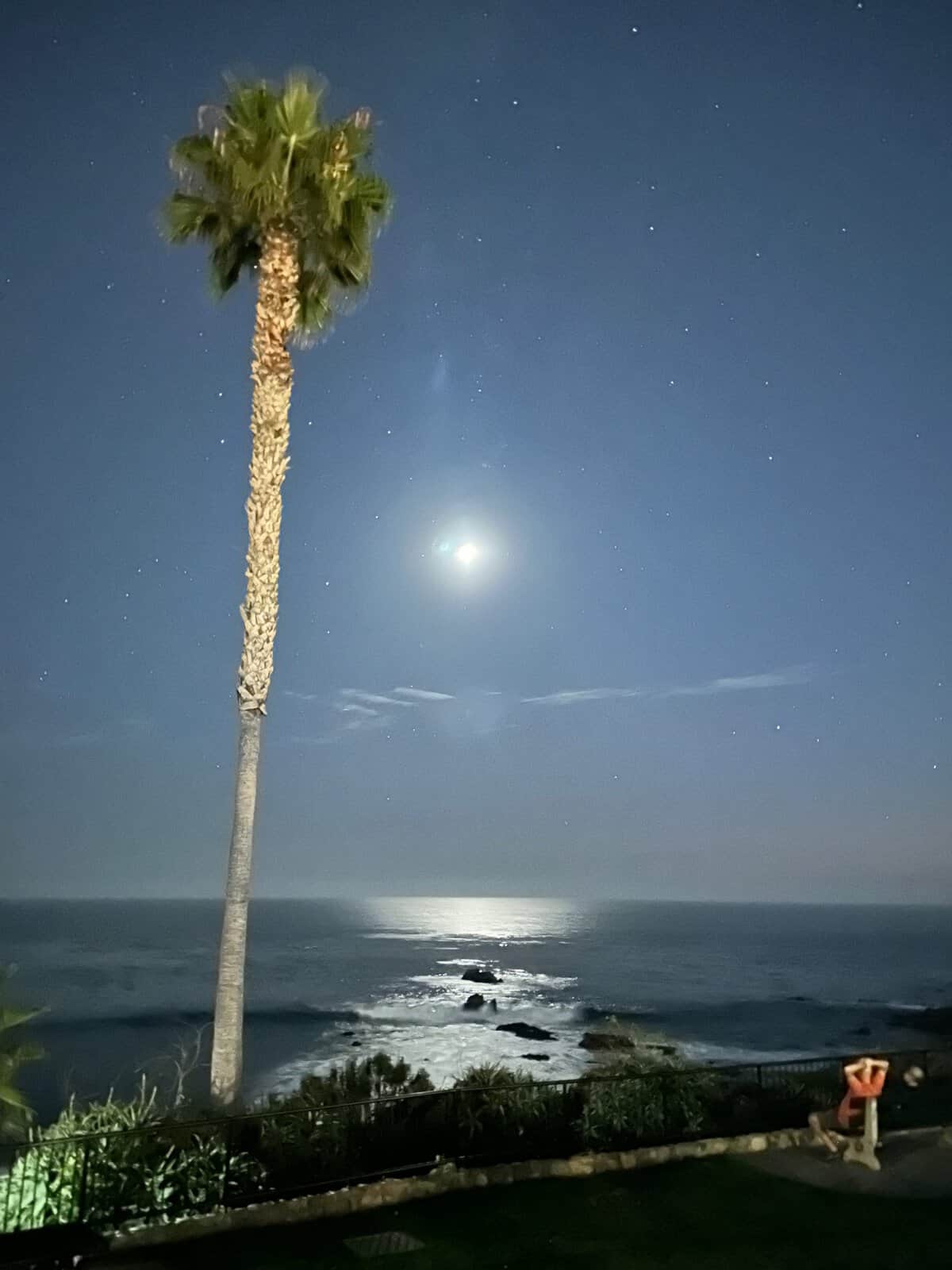 moonlight in Laguna