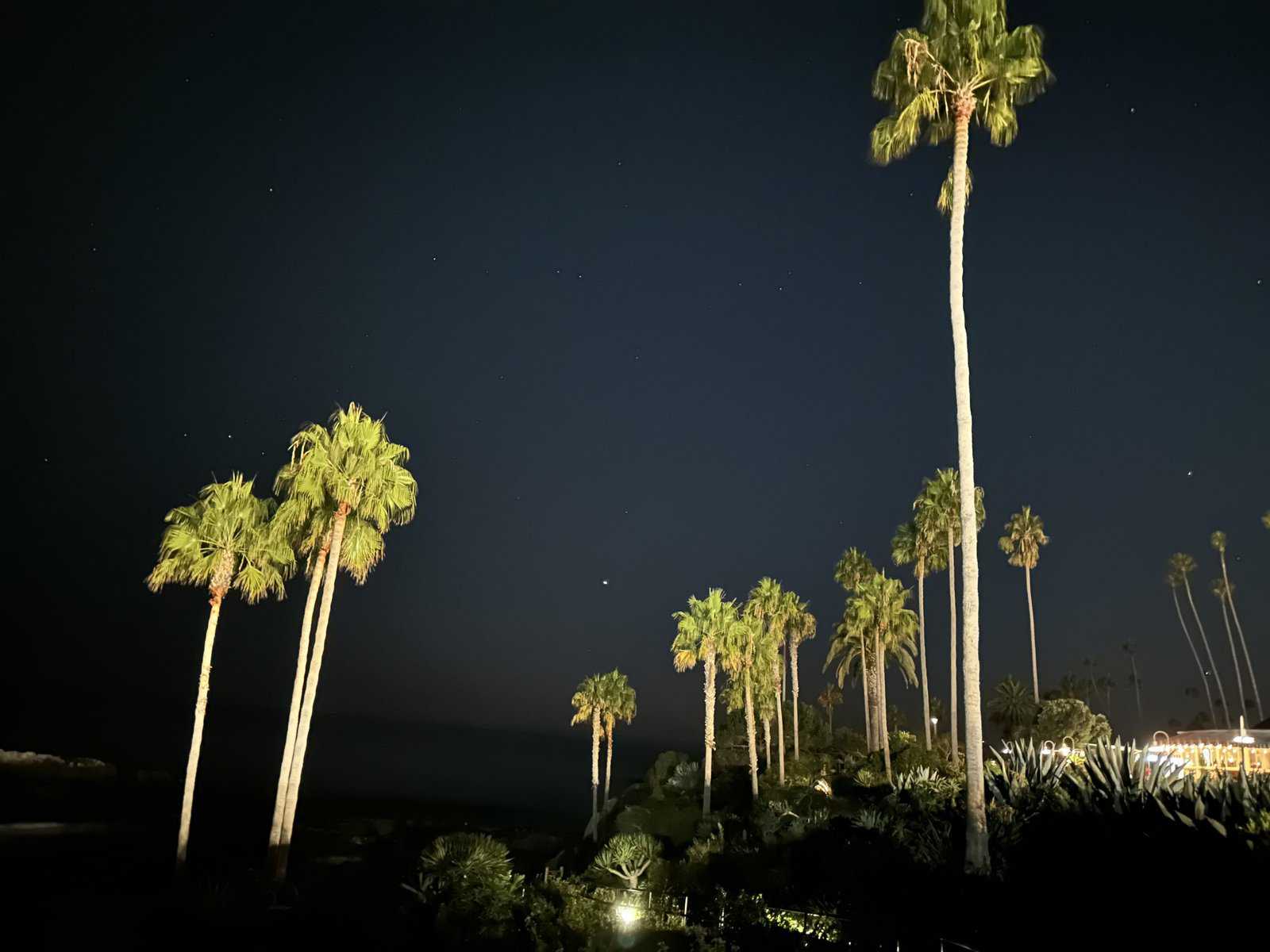 night picture of Laguna Beach