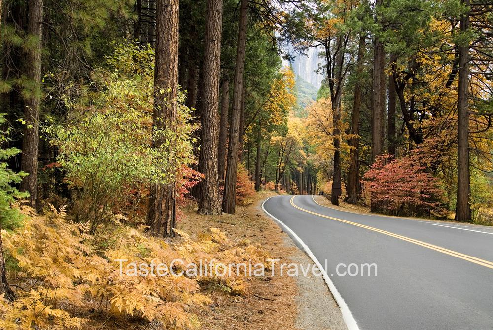 yosemite fall colors