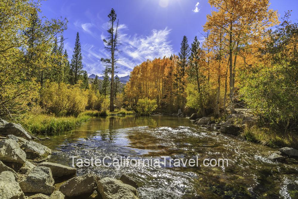 fall in Bishop