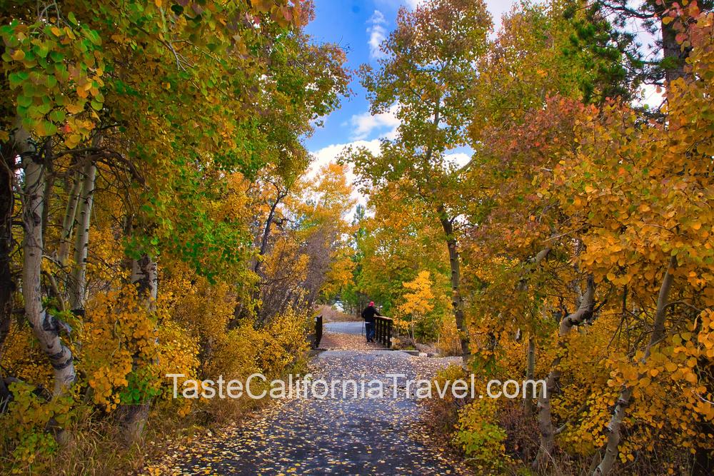 mammoth mountain in fall