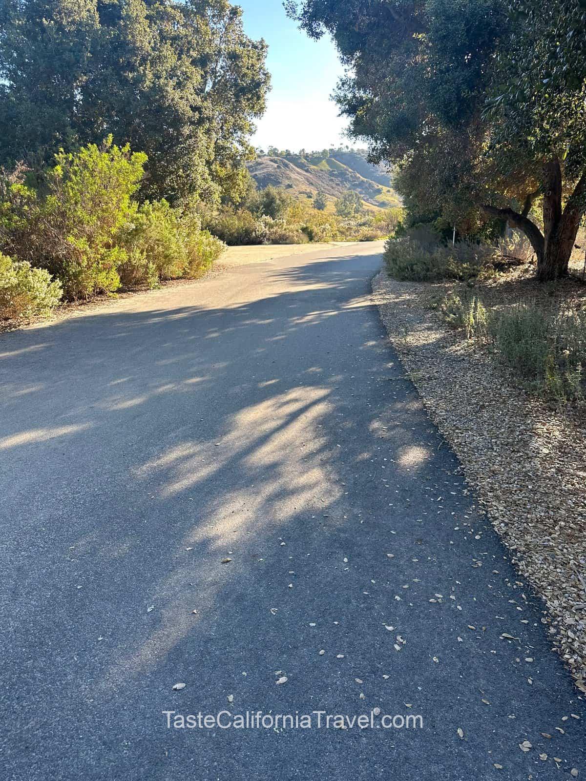 Biking trail at Aliso and Wood Canyons Wilderness Park