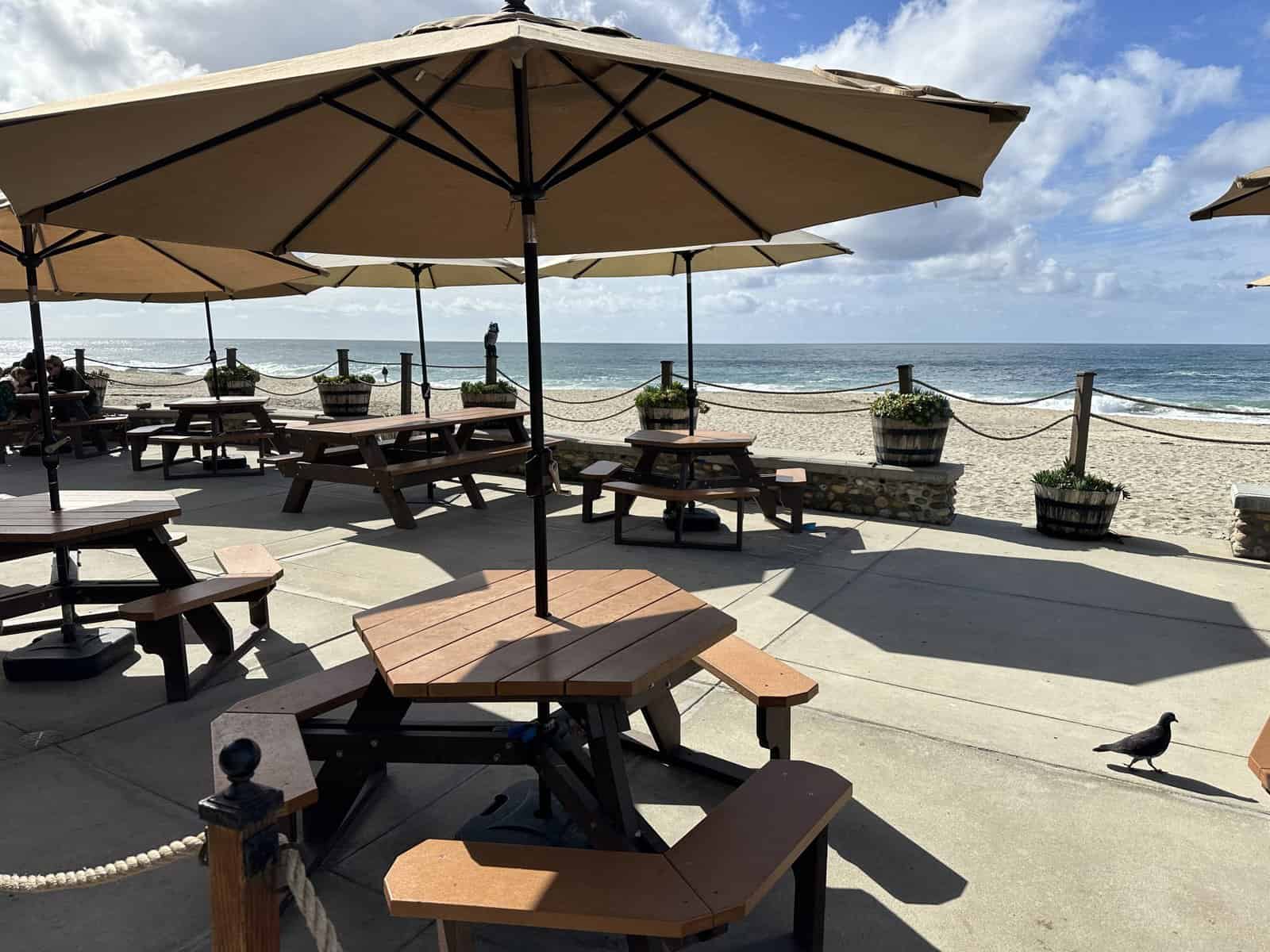 Seating area at Lost Pier Cafe