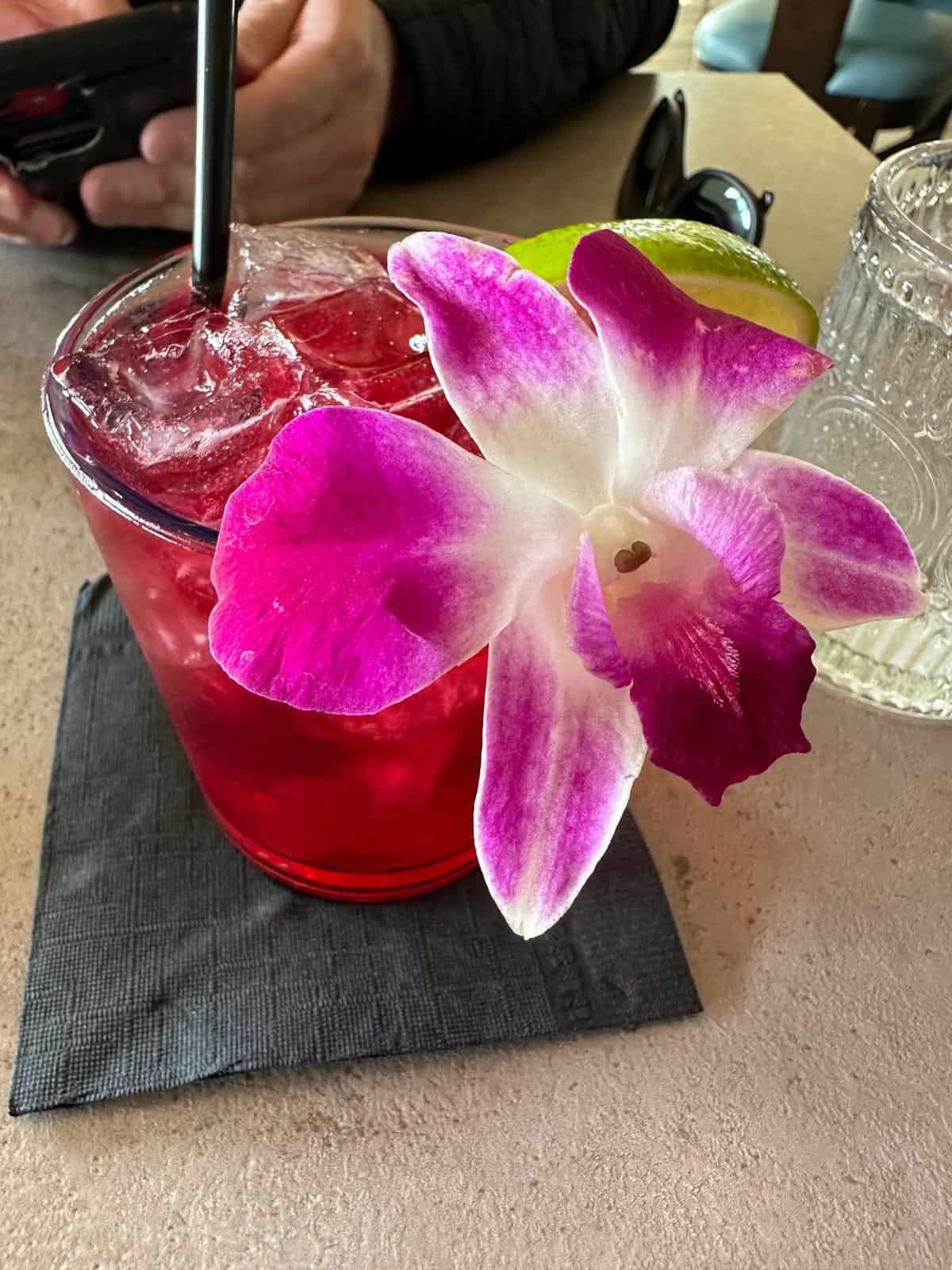 my Lagunarita cocktail at Oak restaurant