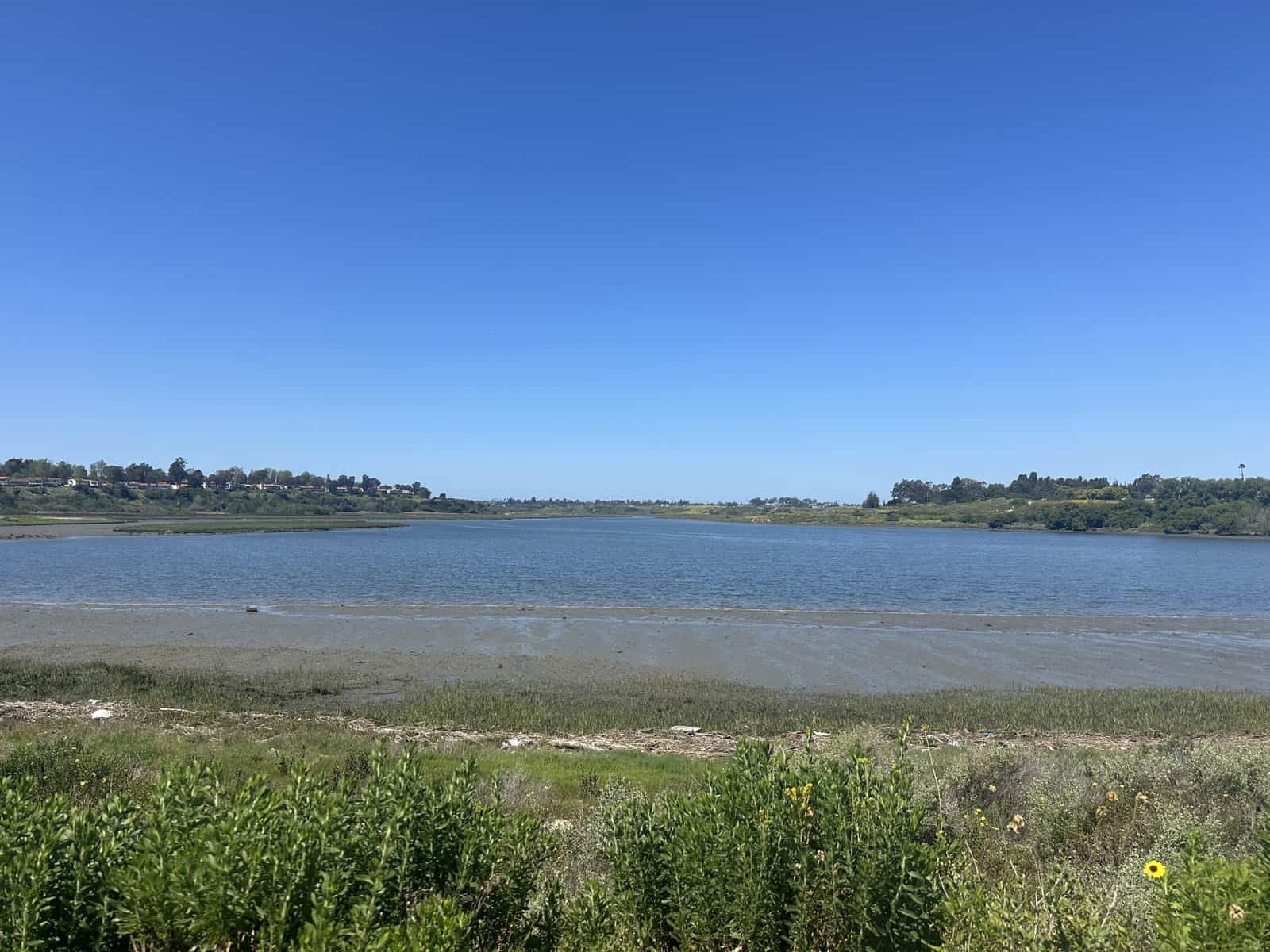 back bay in newport beach