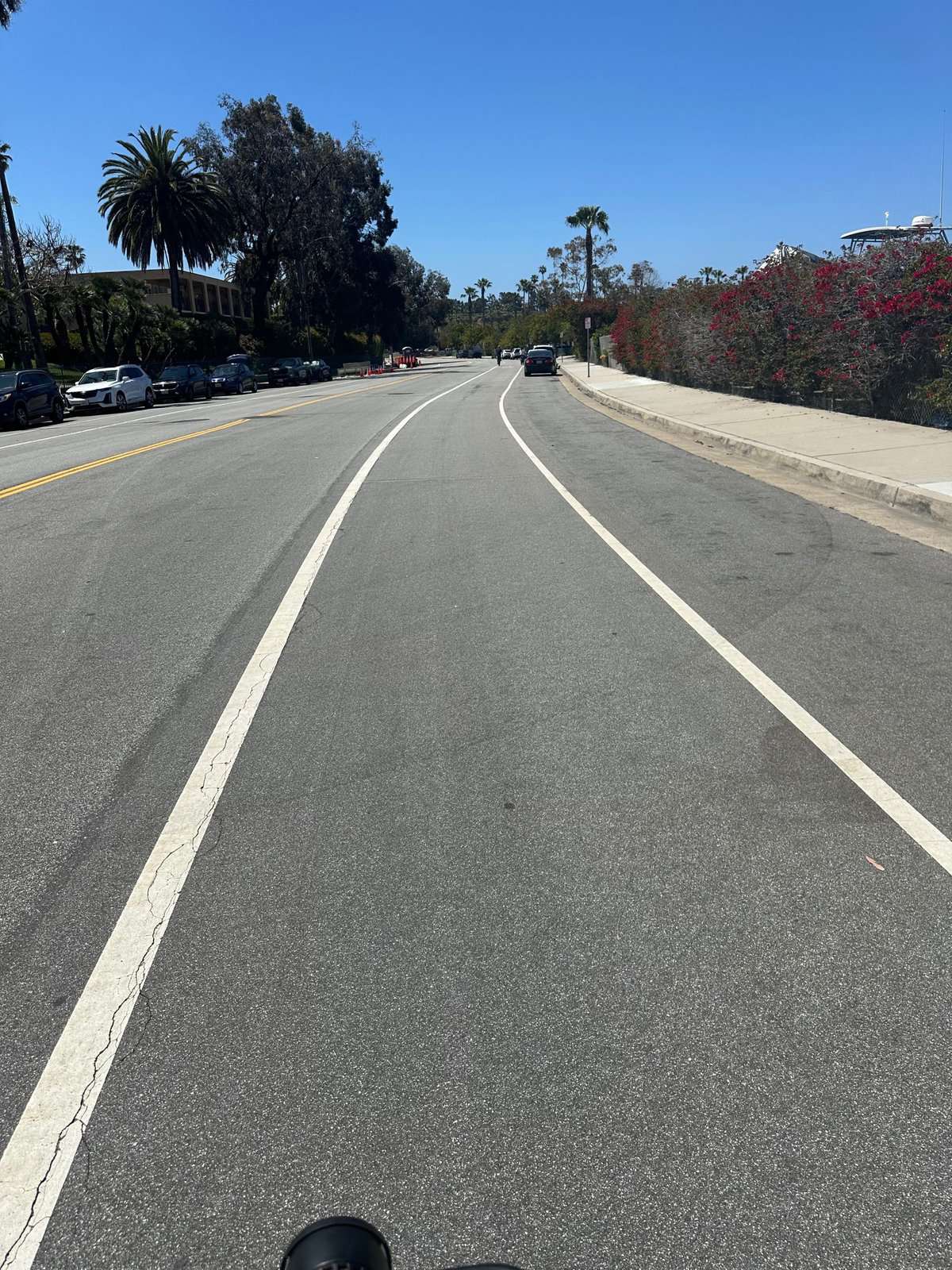 back bay loop trail continues on the road