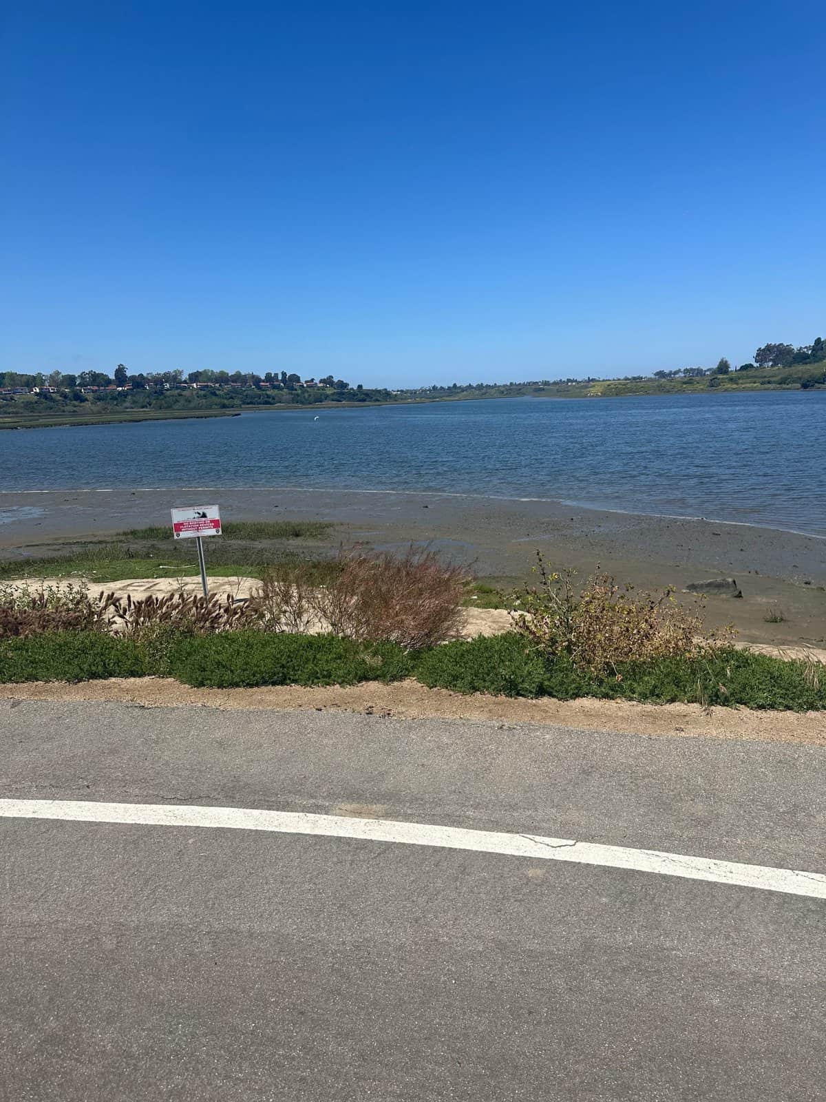 beautiful back bay in newport beach