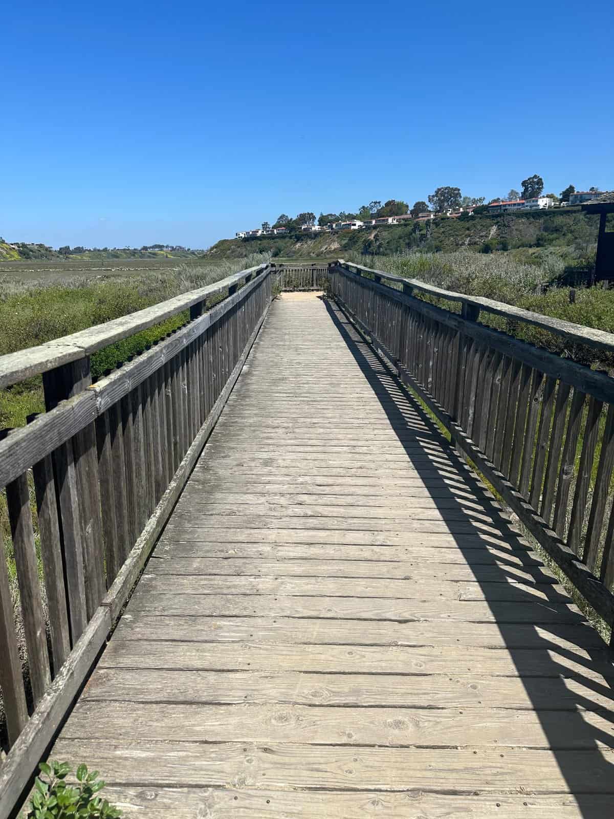 bridge at the upper newport bay ecological reserve