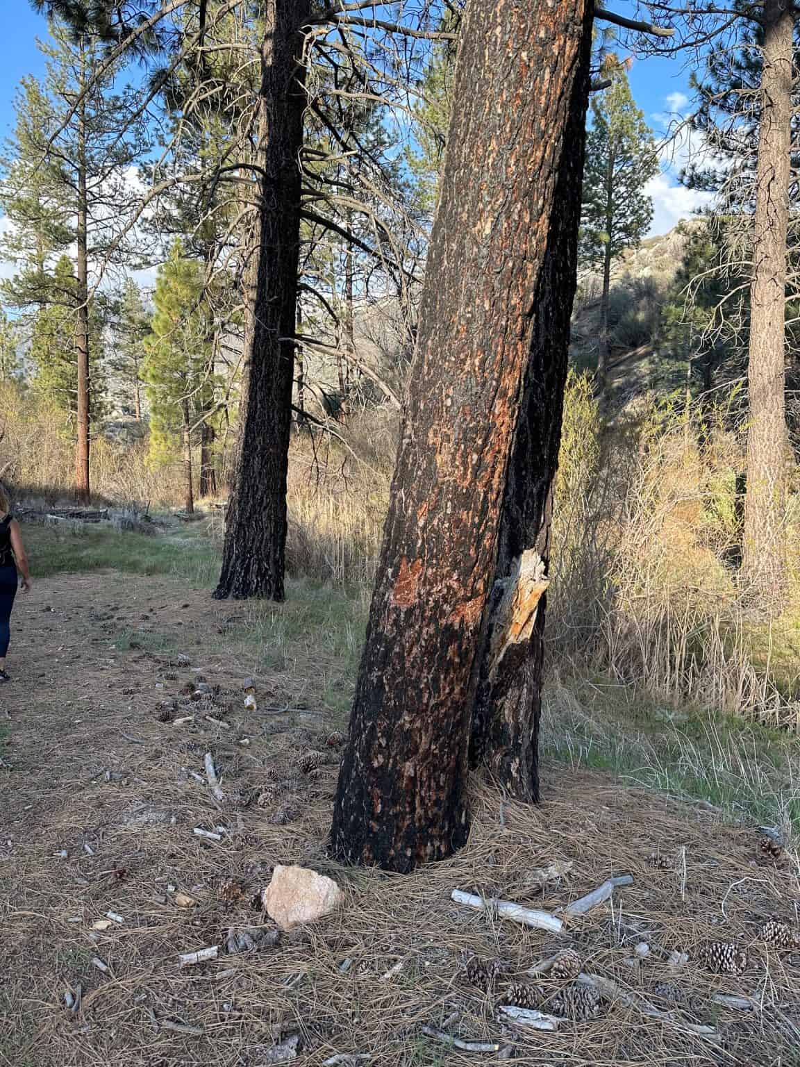 Seven Teacups Hike in Sequoia National Forest Between Kernville and