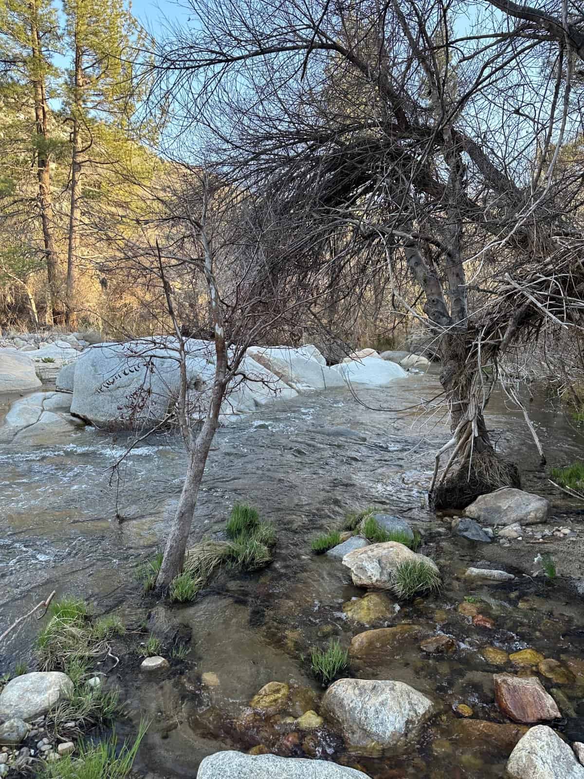have to cross a river to the other side to go to the seven teacups
