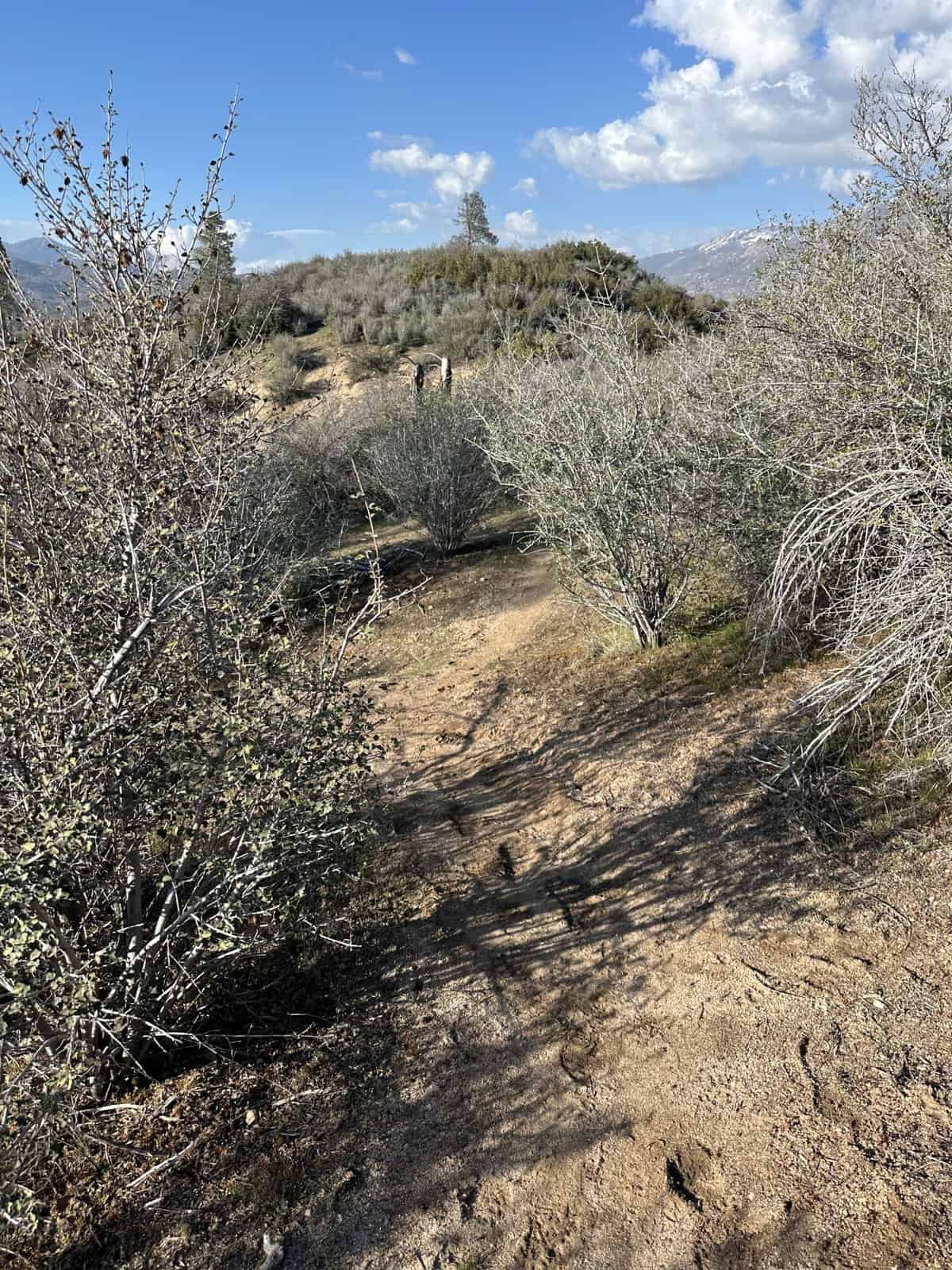 hiking path to Seven Teacups