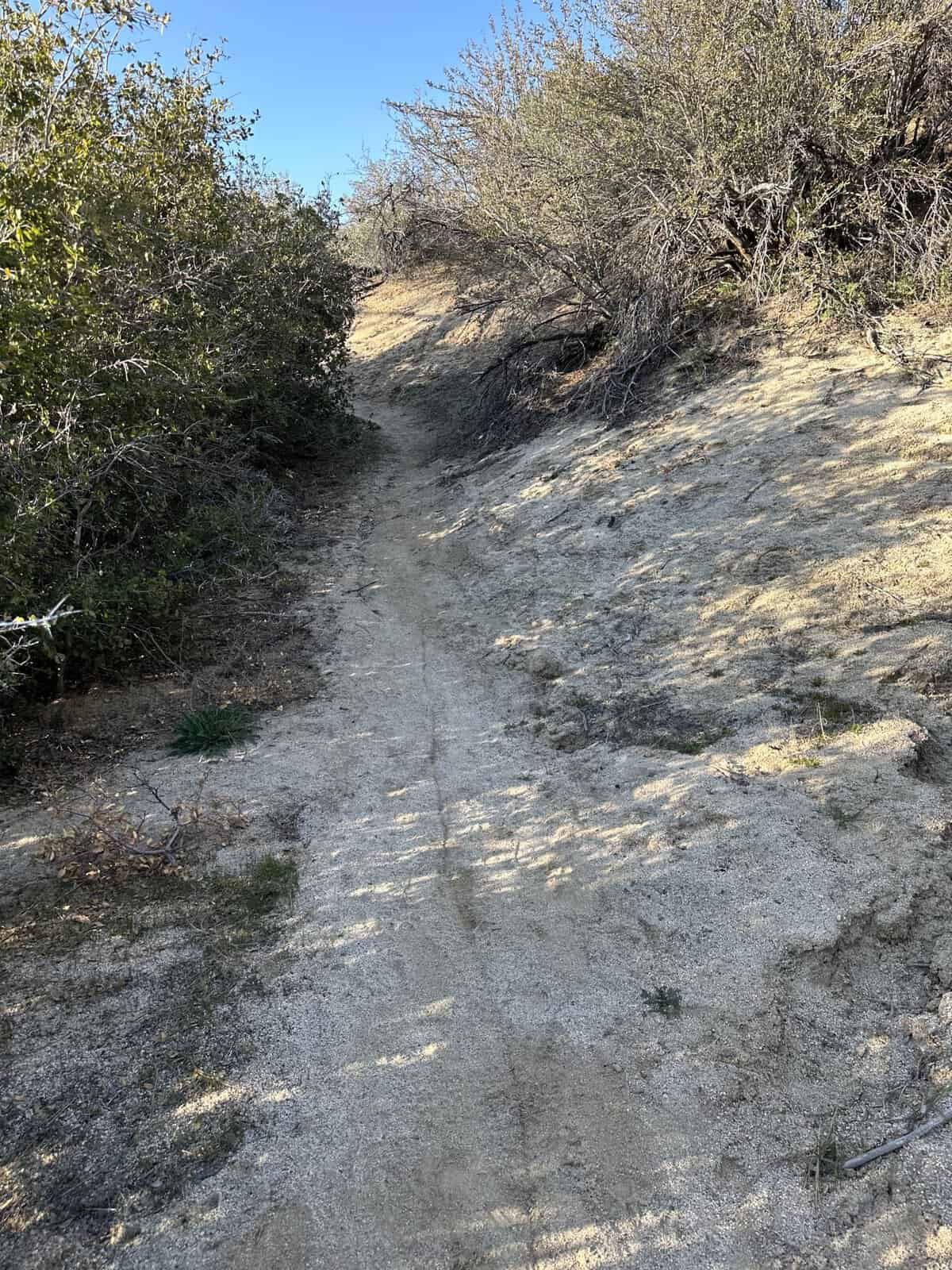 hiking trail to seven teacups