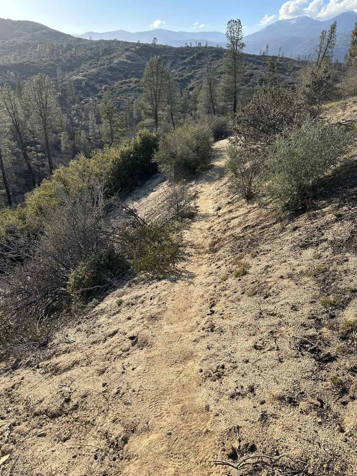 hiking up the hill to the seven teacups