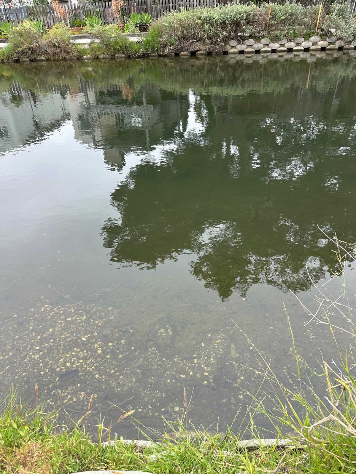water is about 1 feet deep at the edges of venice canals